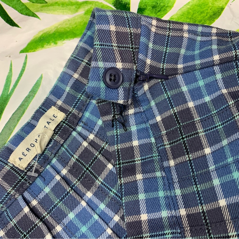 Pleated Aero Skirt